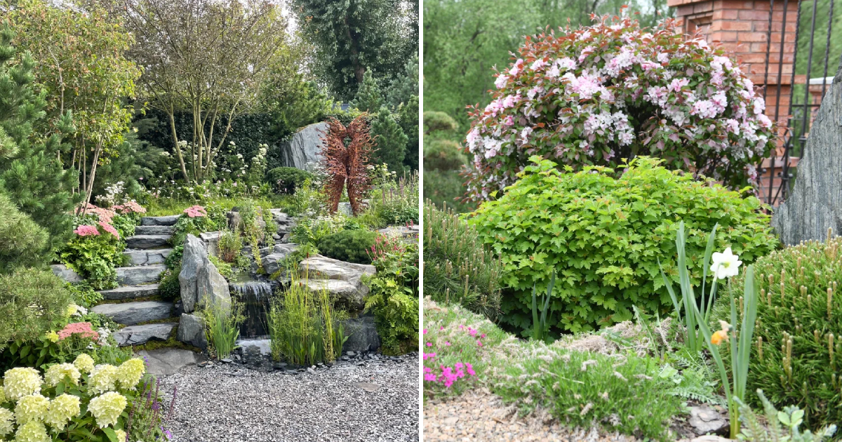 A Garden that Captured the Silver Medal at the Chelsea Exhibition