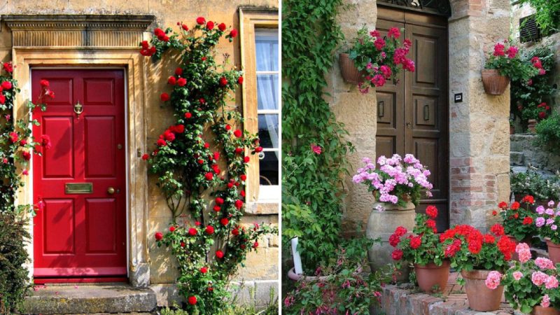 A Stunning Front Facade Design: Captivating Flower-Adorned House Entrances