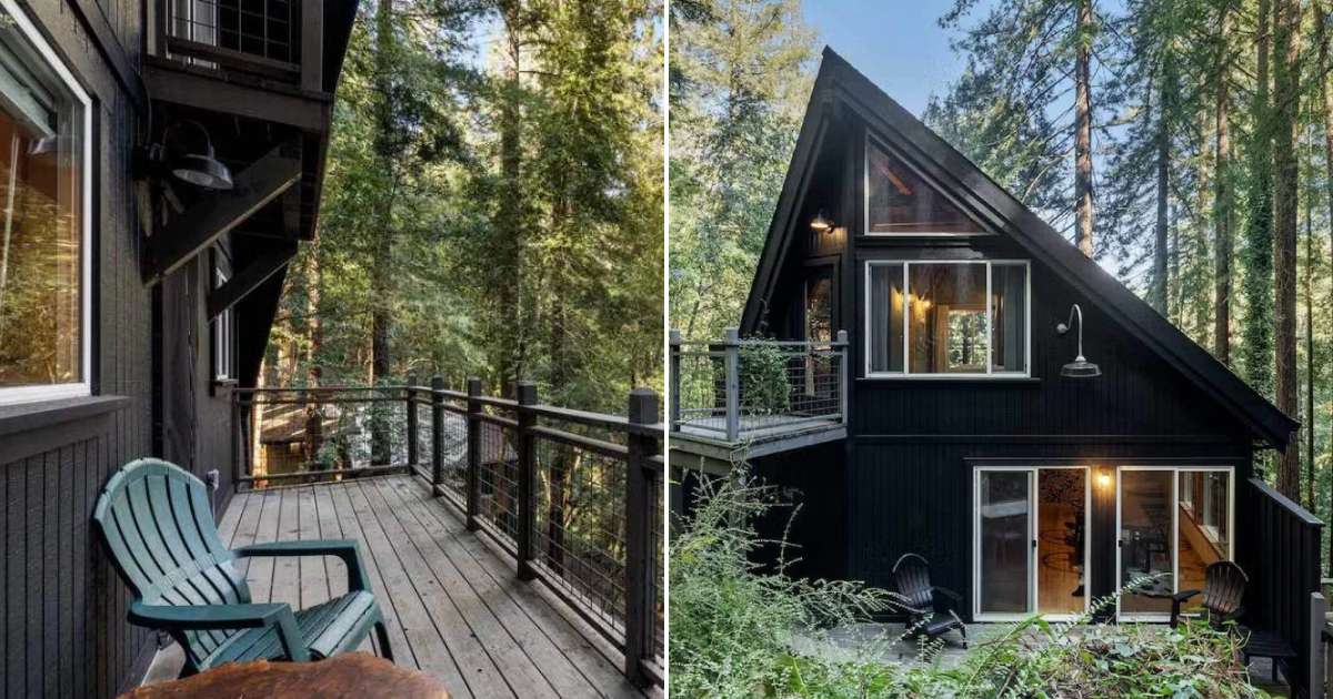 A Two-Story House in the Forest: Abundant Light, Gas Fireplaces on Each Floor, and a Metal Kitchen