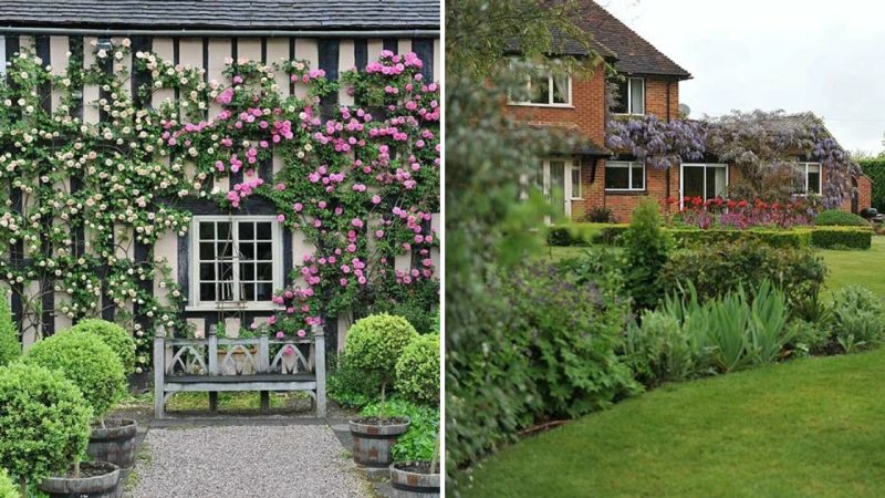 Beautiful English Gardens: A Feast for the Eyes