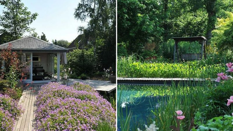 Creating a Natural Oasis: The Beauty of the Garden and Ponds