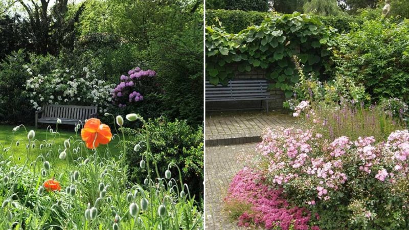 Dutch Horticulturists Come To Mien Ruys Garden For Inspiration