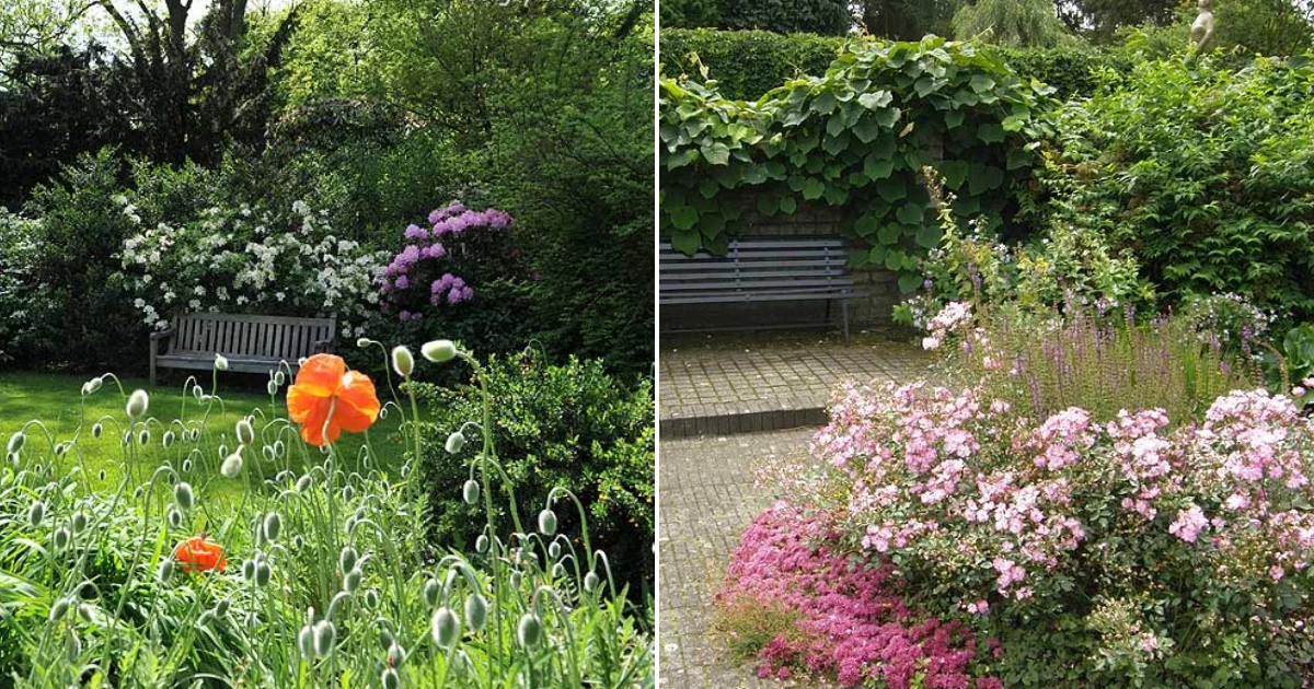 Dutch Horticulturists Come To Mien Ruys Garden For Inspiration