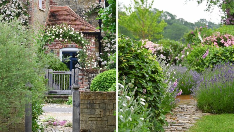 Enchanting Beauty: A Glimpse into the Sussex Farmhouse Garden