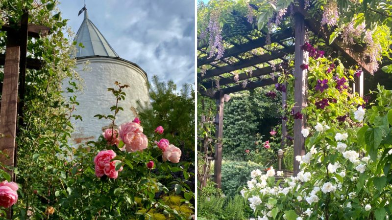 Enchanting Garden of Natalia Lyashenko in Voronezh