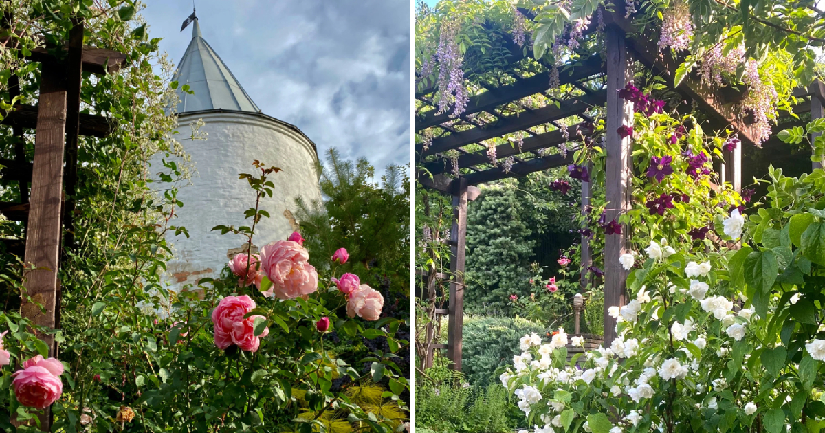 Enchanting Garden of Natalia Lyashenko in Voronezh