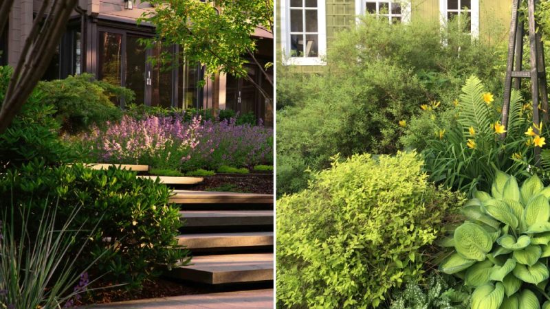 Enhancing Harmony in Garden Design: Key Techniques