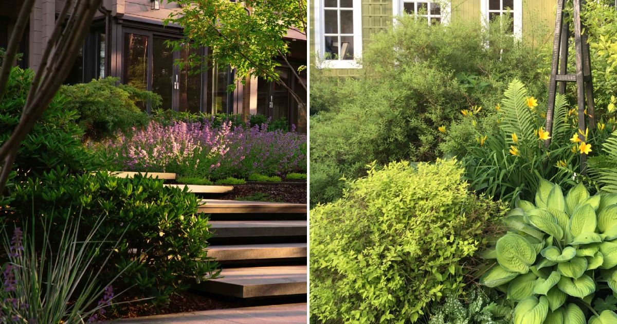 Enhancing Harmony in Garden Design: Key Techniques