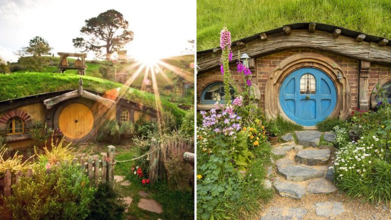 Experience the Enchanting Beauty of Hobbiton