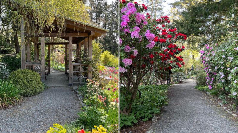 Exploring the Beauty of Doris Garden: A Delightful Journey through Seasons