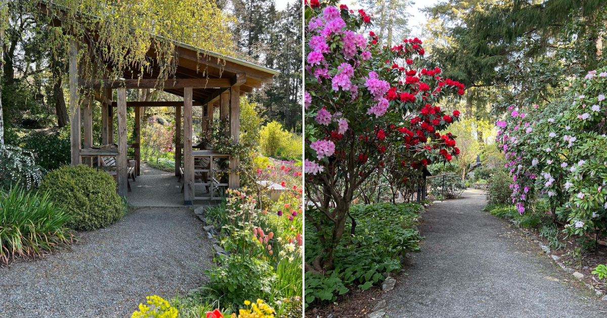 Exploring the Beauty of Doris Garden: A Delightful Journey through Seasons
