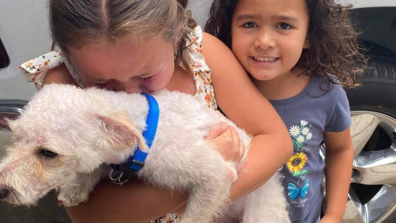 Reunited with Her Lost Dog: A Heartwarming Tale of Joy and Tears