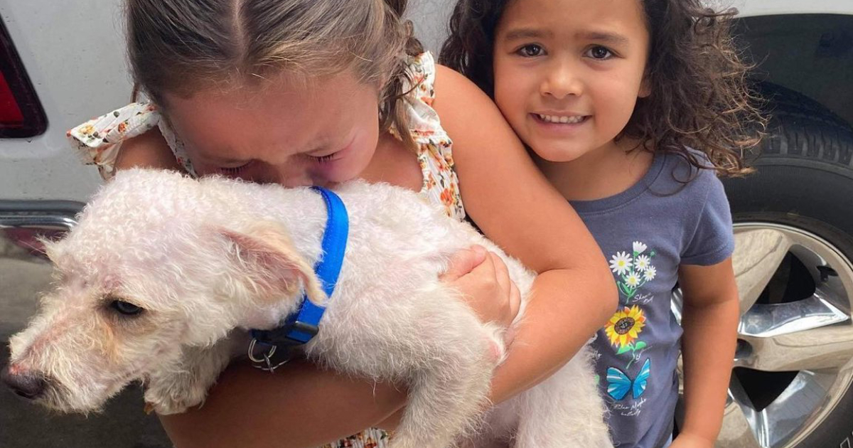 Reunited with Her Lost Dog: A Heartwarming Tale of Joy and Tears