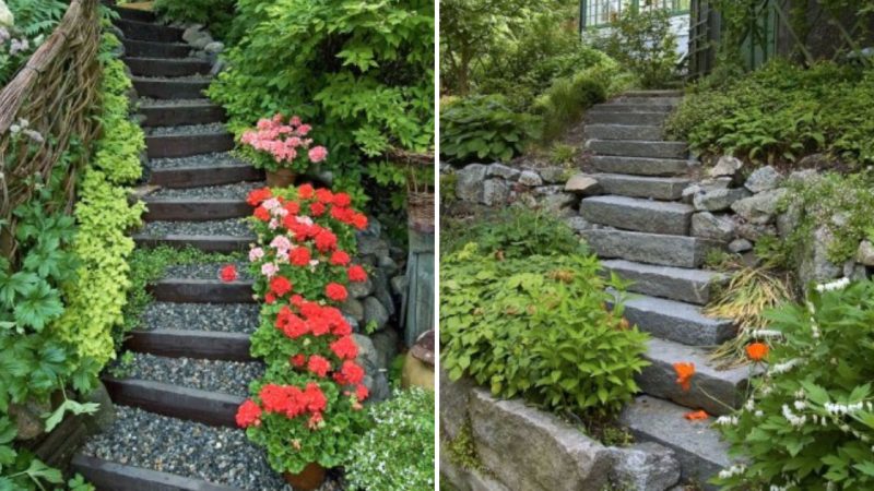 The Beauty of Staircases in the Garden