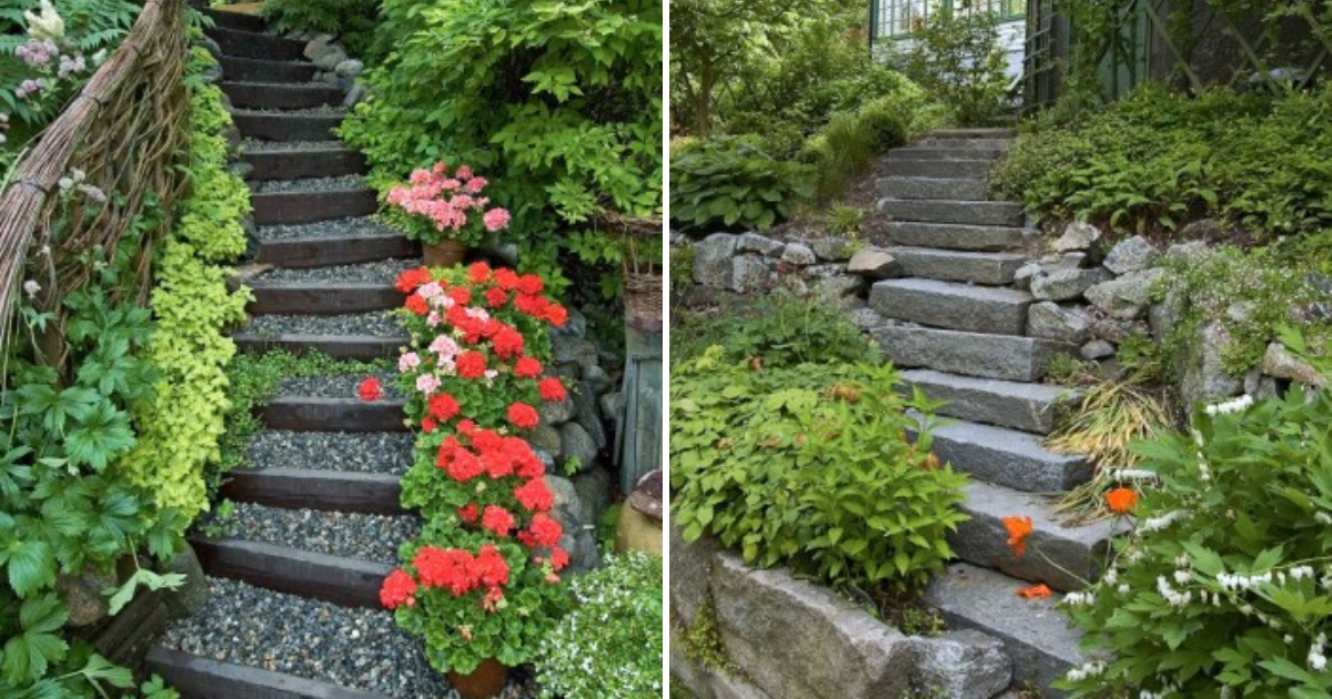 The Beauty of Staircases in the Garden