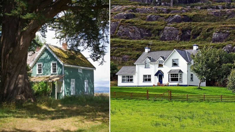 The Enchanting Beauty of Solitary Houses Amidst Nature’s Tranquil Charm