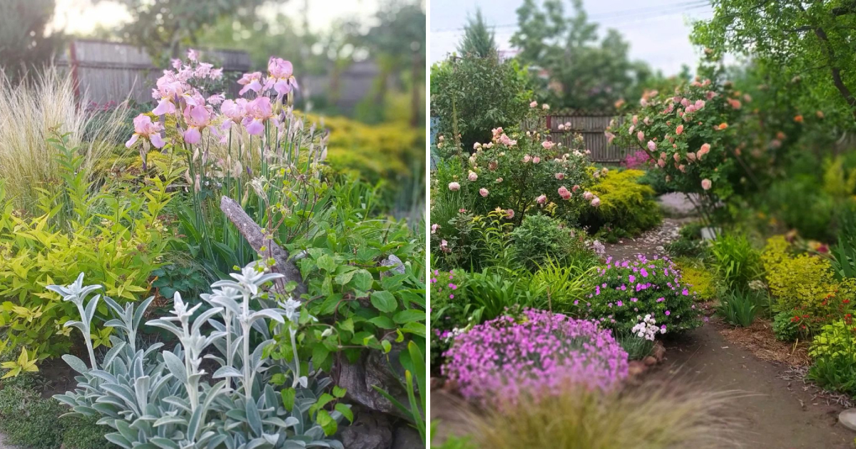 The Evolving Beauty of Garden: From Colorful Blooms to Serene Foliage