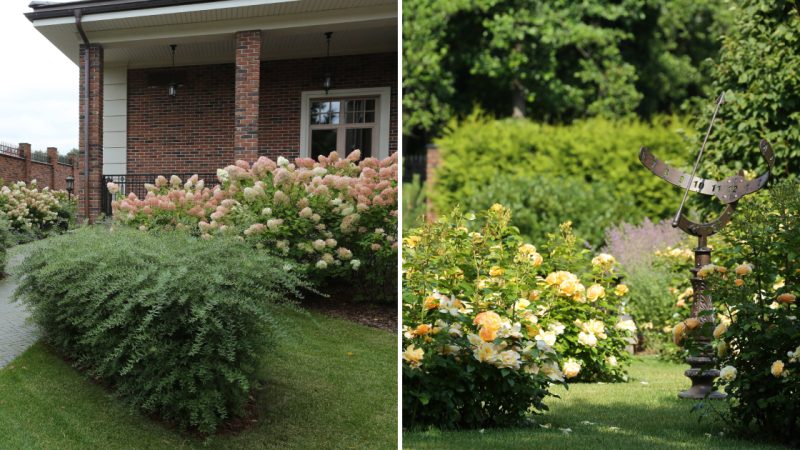 The Honey Garden in Suburbs – With Honey-Producing Plants, Bonsai, and Beehive-Inspired Design