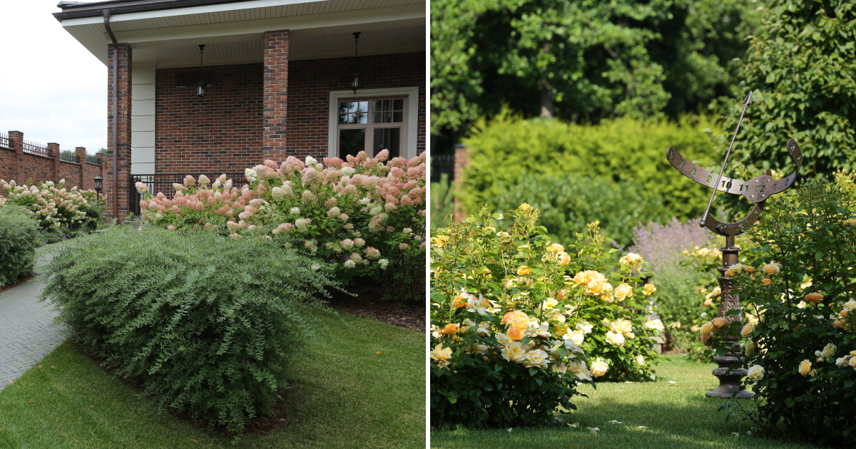 The Honey Garden in Suburbs – With Honey-Producing Plants, Bonsai, and Beehive-Inspired Design