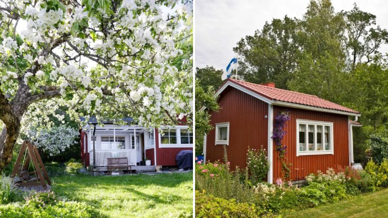 Tiny Summer Houses Amidst Helsinki’s Urban Landscape