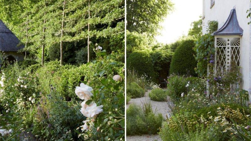 Transforming Limitations into Beauty: The Unique Design of the Georgian Rectory Garden in Dorset