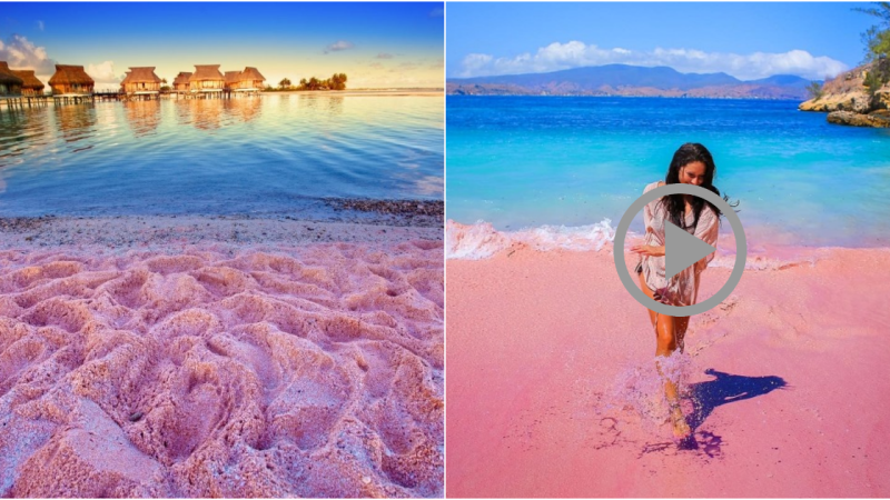 Pink Sands Harbour Beach: A Captivating Paradise in the Bahamas