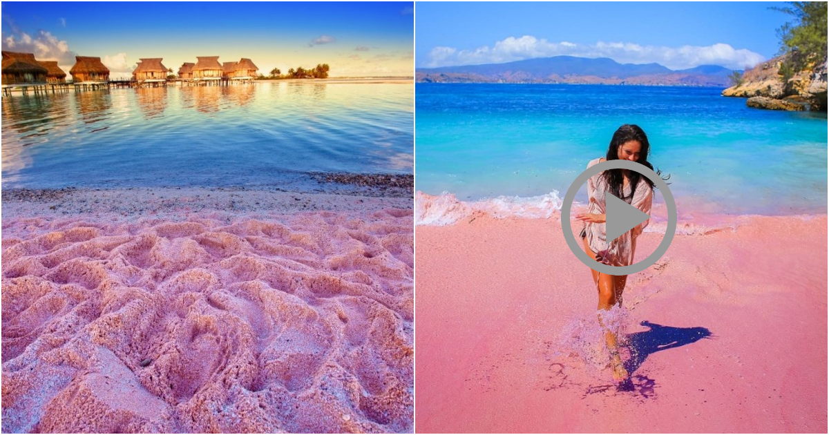 Pink Sands Harbour Beach: A Captivating Paradise in the Bahamas