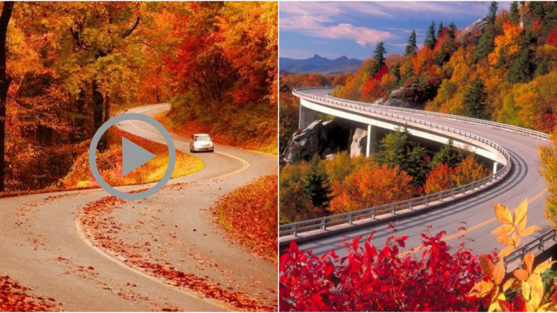 The Blue Ridge Parkway: A Scenic Journey Through Virginia’s Natural Beauty