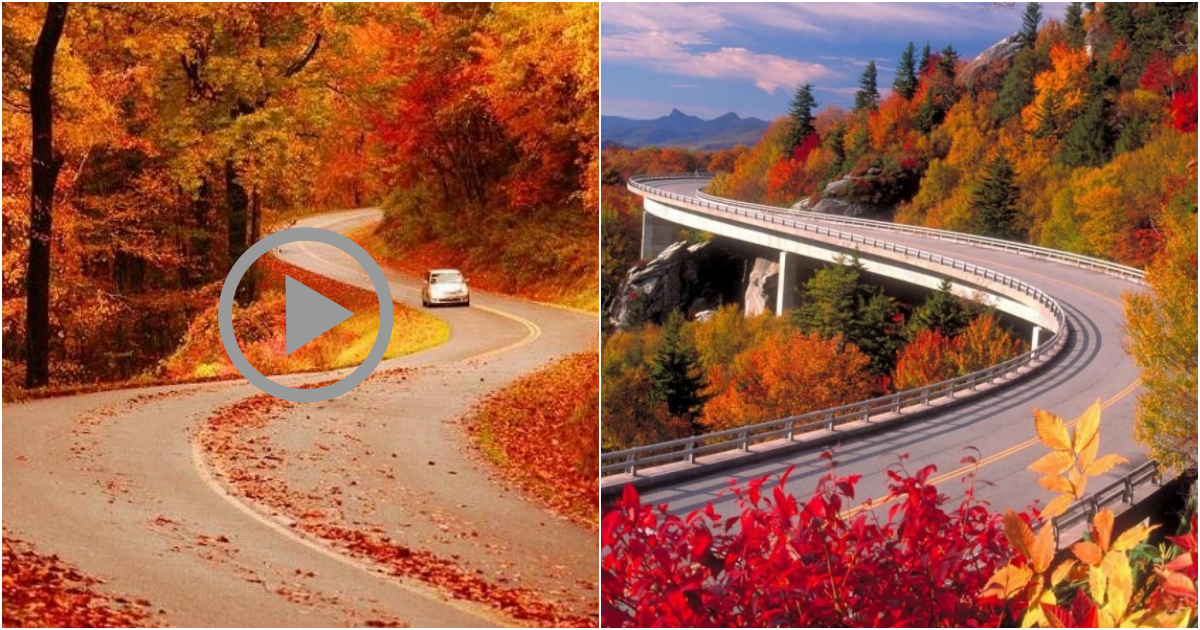 The Blue Ridge Parkway: A Scenic Journey Through Virginia’s Natural Beauty