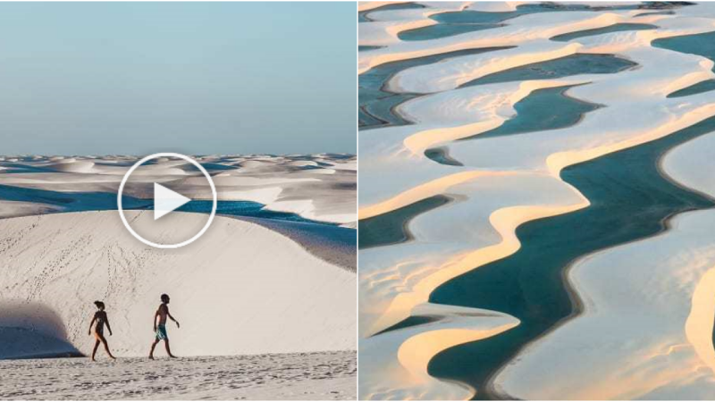 Lencois Maranhenses: A Mesmerizing Contrast of Desert and Lagoons