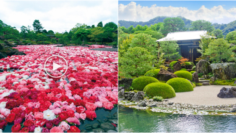 Adachi Museum of Art: A Tranquil Oasis of Japanese Beauty