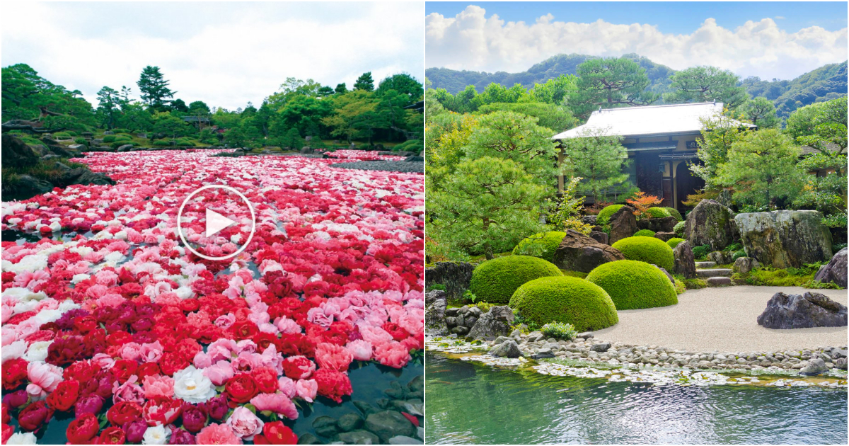 Adachi Museum of Art: A Tranquil Oasis of Japanese Beauty