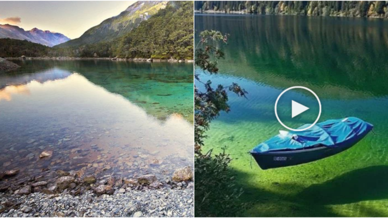 Discover the Enchanting Beauty of Rotomairewhenua Lake