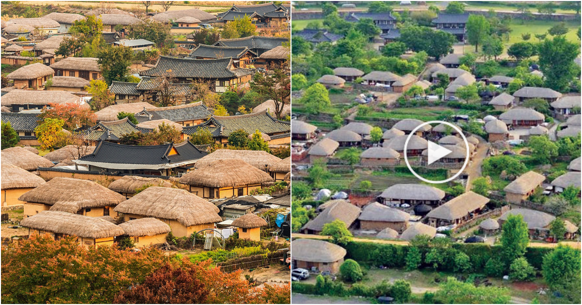 Yangdong Village: A Tranquil Haven for the Avid Traveler