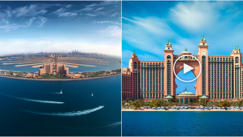 Admiring the Panoramic View of Palm Jumeirah Island at Atlantis The Palm, Dubai