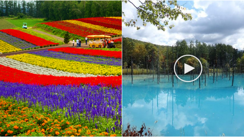 Explore the Captivating Beauty of Hokkaido: Must-Visit Destinations in Japan’s Northern Island