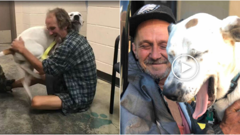 Heartwarming Reunion: Homeless Man Finds Happiness in the Arms of His Beloved Dog