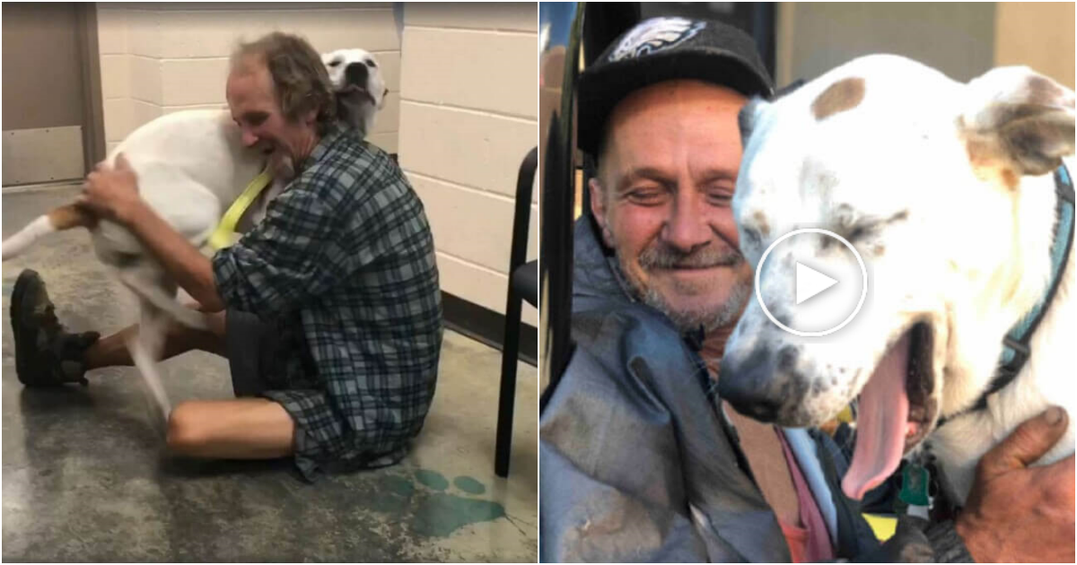 Heartwarming Reunion: Homeless Man Finds Happiness in the Arms of His Beloved Dog