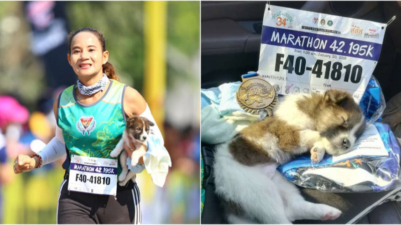 Marathon Runner’s Act of Kindness: Rescuing a Stray Puppy and Going the Extra Mile