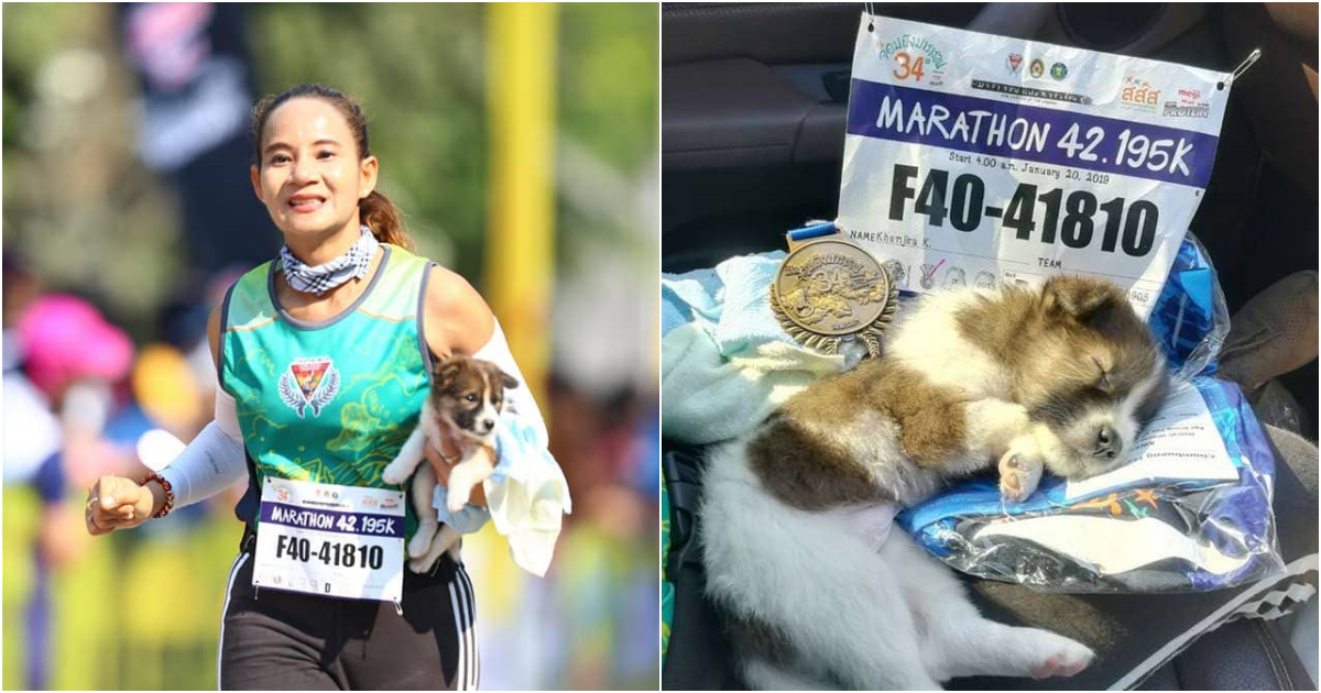 Marathon Runner’s Act of Kindness: Rescuing a Stray Puppy and Going the Extra Mile