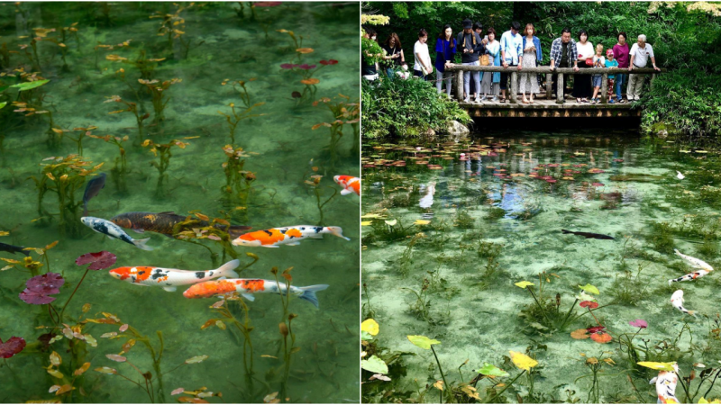 Namonaki Lake – A Breathtaking Masterpiece of Japan