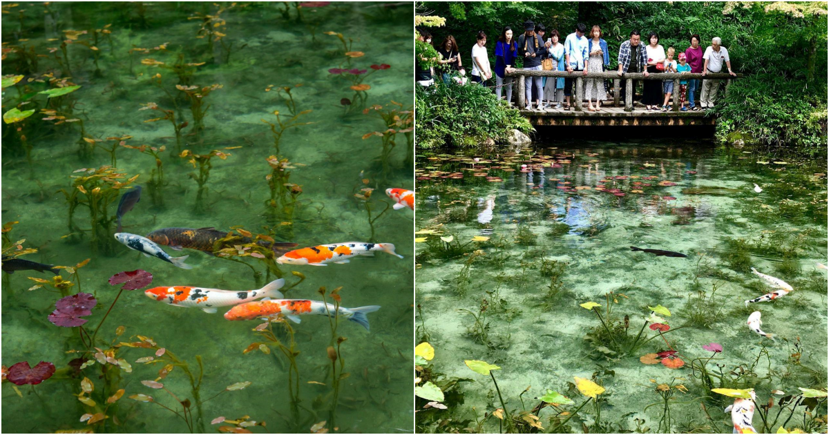 Namonaki Lake – A Breathtaking Masterpiece of Japan