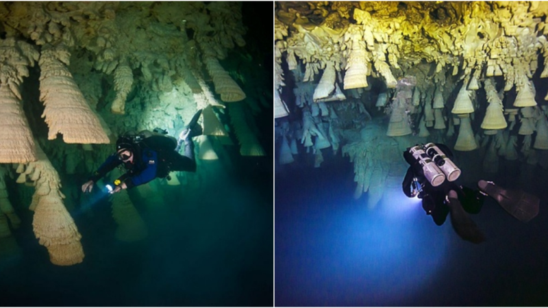 Exploring the Enigmatic Sinkhole of El Zapote in Mexico