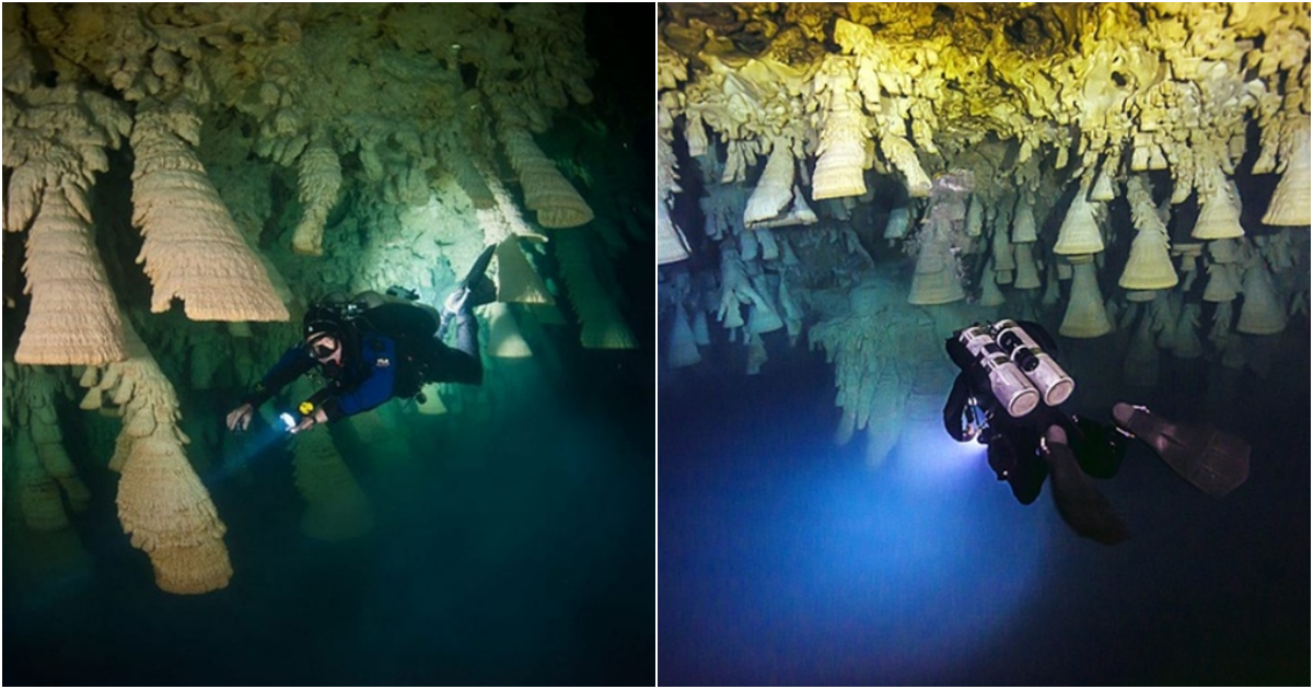 Exploring the Enigmatic Sinkhole of El Zapote in Mexico