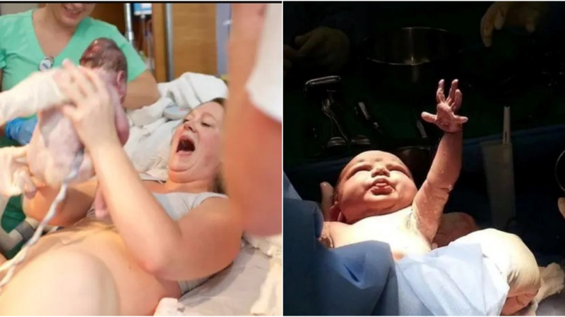 The Moments when Babies are Born Touch the Hearts of Millions