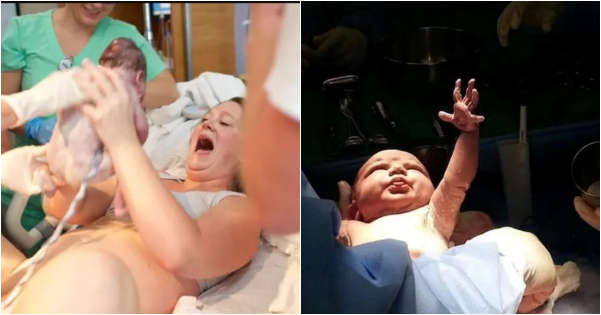 The Moments when Babies are Born Touch the Hearts of Millions