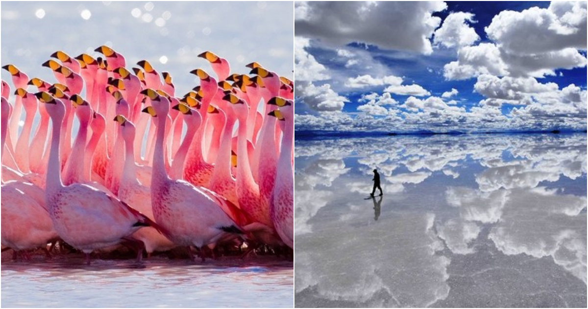 Sαlαr de Uyuni – The World’s Lαrgest ‘Sαlt Mirror’ in Boliviα