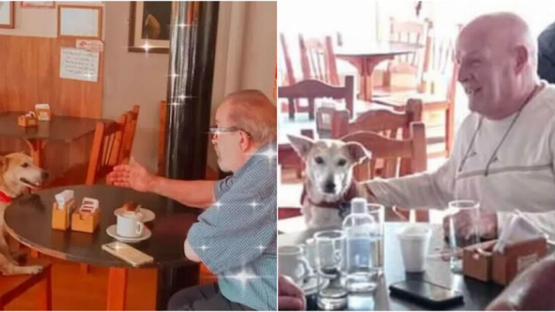 Coffee Shop’s Canine Companion: Corchito, the Healing Presence