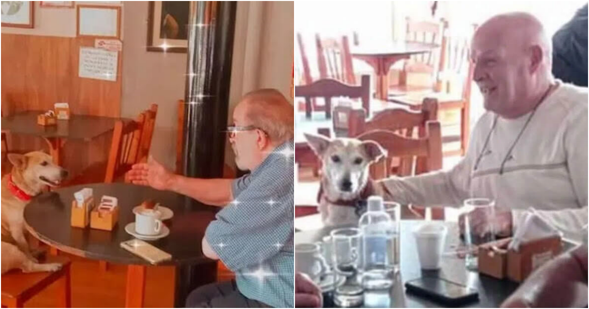 Coffee Shop’s Canine Companion: Corchito, the Healing Presence