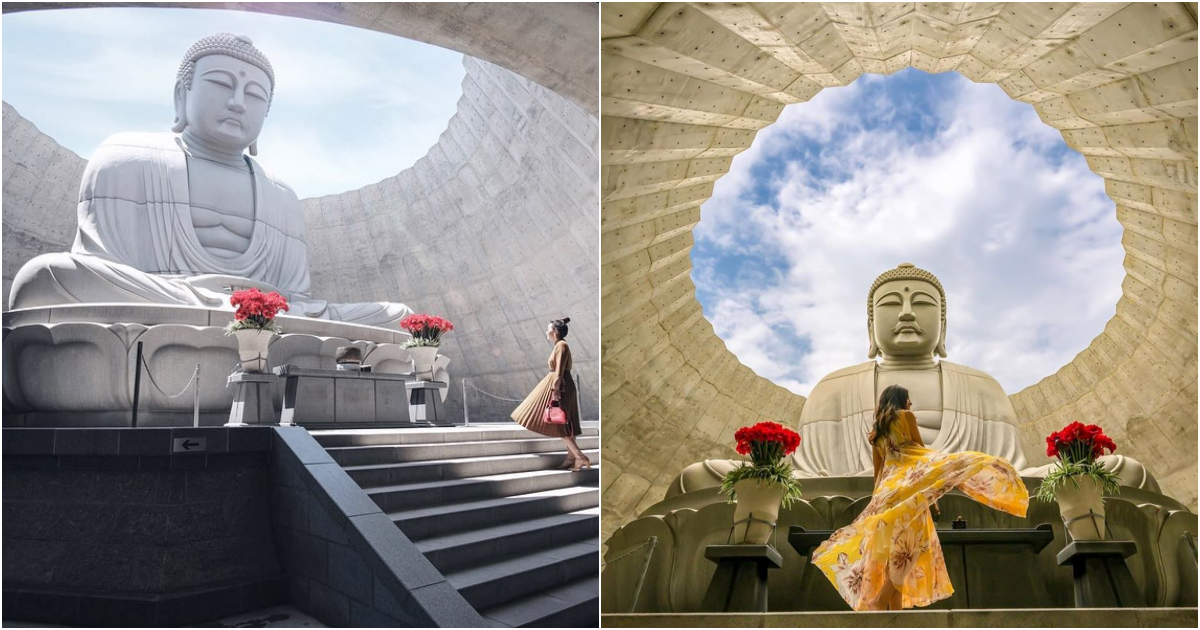 Serene Beauty: The Unique Buddha Statue Amidst Lavender Fields in Sapporo, Japan